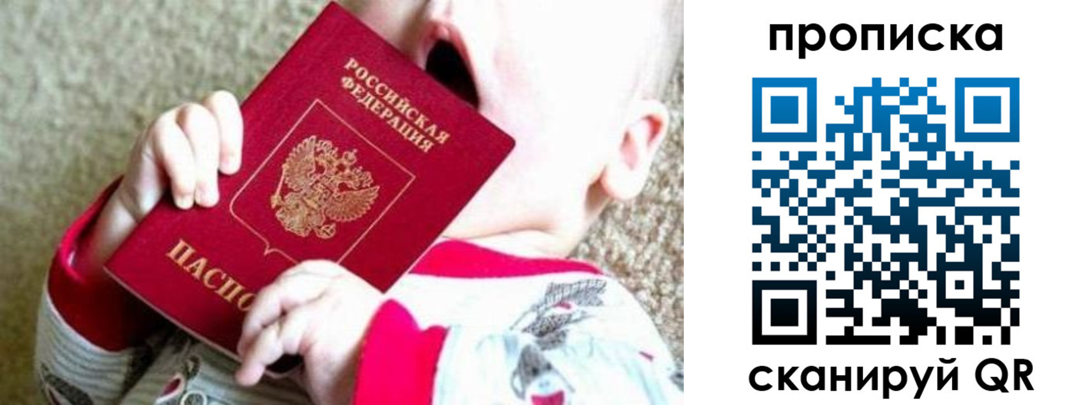 прописка законно в Воронеже